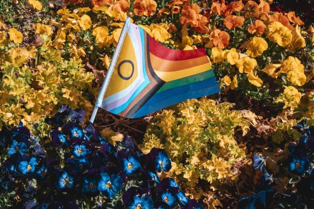 die Flagge der LGBTIQ+-Gemeinschaft