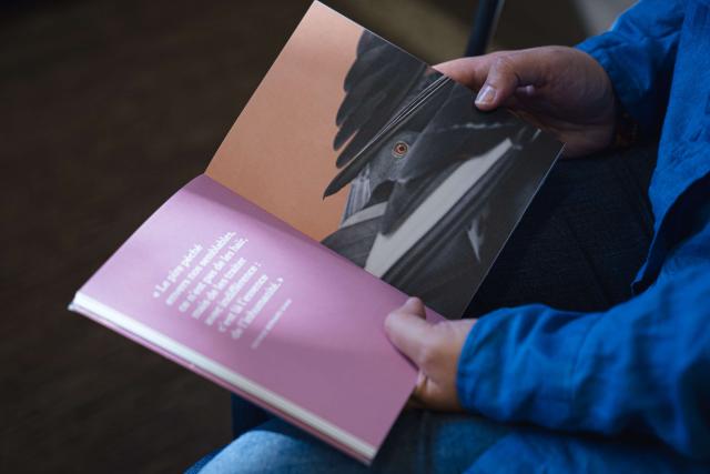 gros plan sur des mains qui tiennent un livre