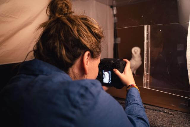 une femme (Luisa Maria Stagno) photographie un pigeon