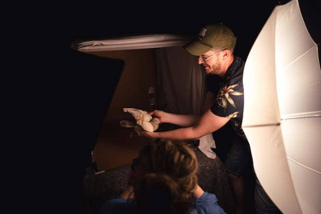un homme tient un pigeon à la main dans un studio de photographie