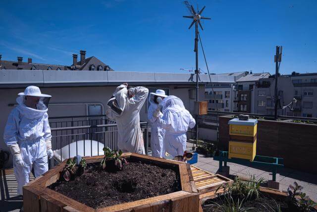 drei Bienenzüchter auf einem Dach, auf dem erhöhte Behälter und ein Bienenstock zu sehen sind