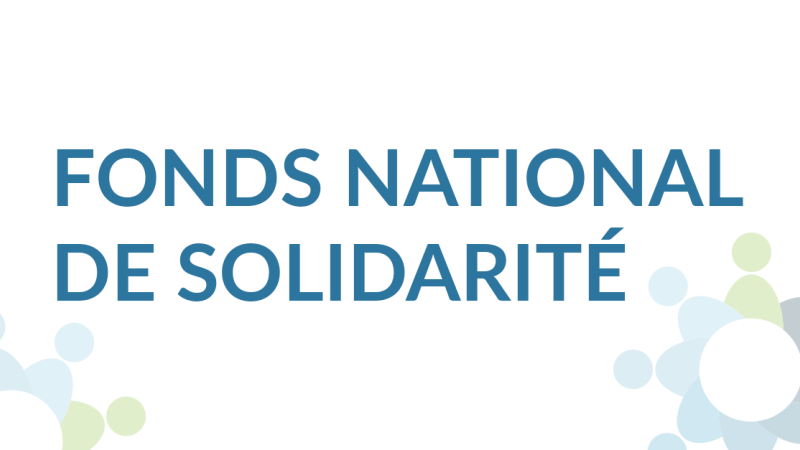 Logo du Fonds National de Solidarité