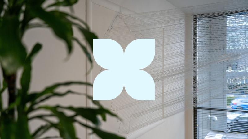 Photo d'une décoration murale avec une plante en avant-plan 
