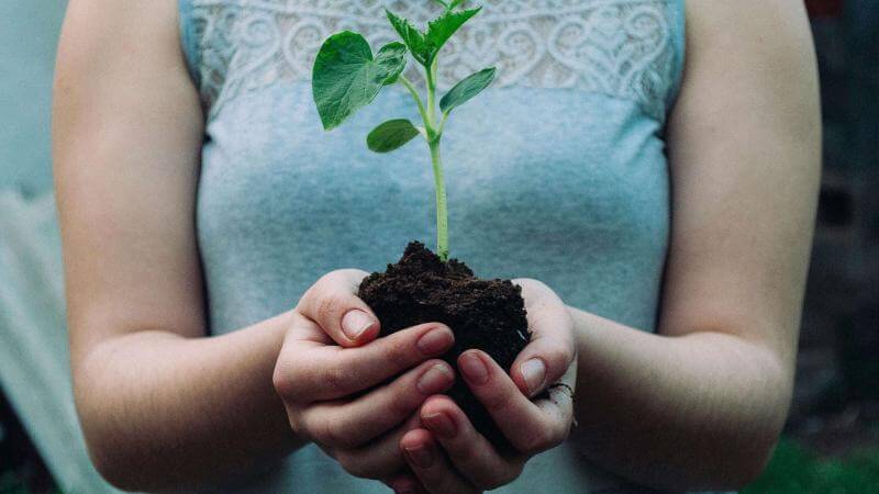 une femme tient une plante en main